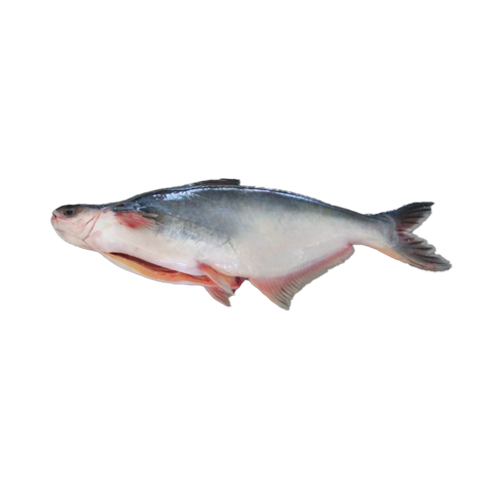 Pangush Whole cut 1.5kg
